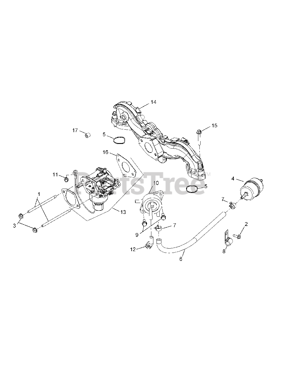 Ratio Rite Cup – KartRising - Components For Karts