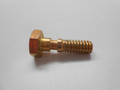 99-0283 - Shear Bolt