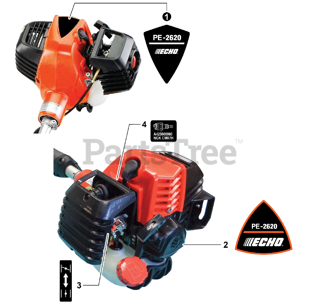Echo pe on sale 2620