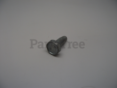 817021008 - Screw