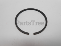 A101000000 - Piston Ring