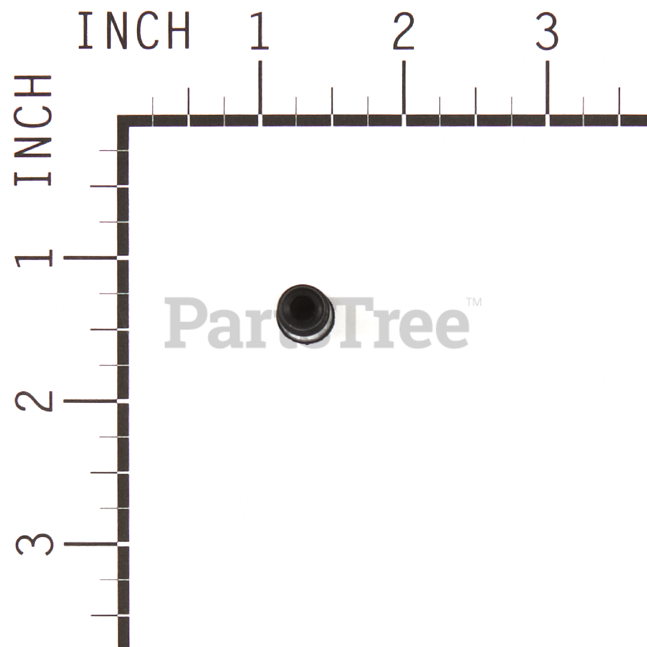 BRP 555647 - Product Images (Slide 4 of 4)