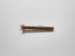 12311005560 - Pump Cover Screw