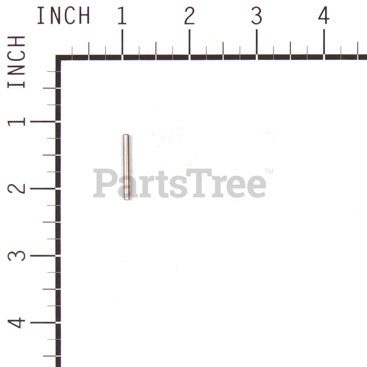 BRP 557089 - Product Images (Slide 6 of 6)