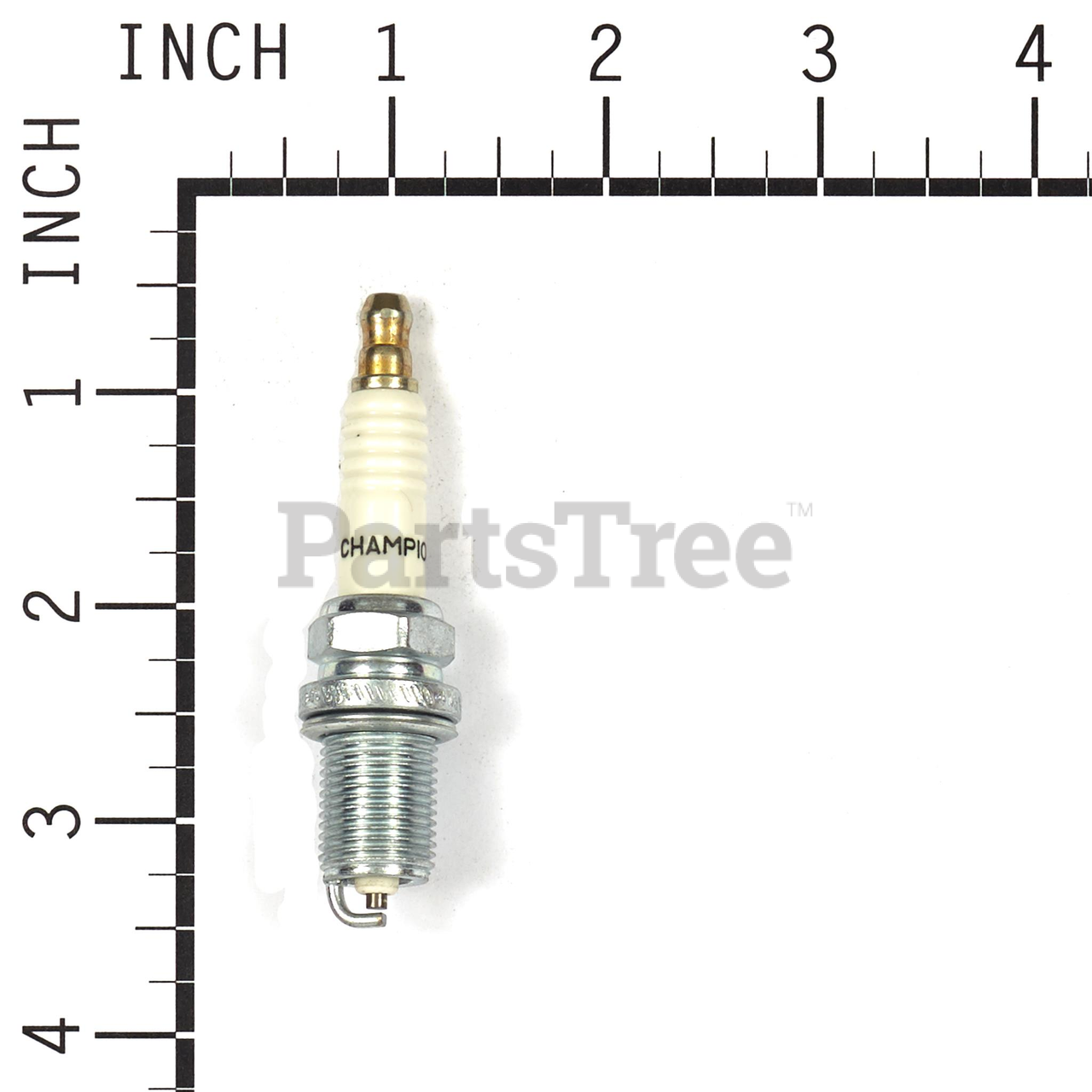 BRP 797434 - Product Images (Slide 2 of 3)