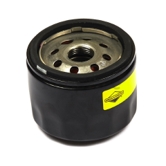 842921 - Oil Filter