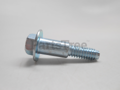 BS-697102 - SCREW