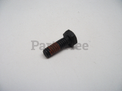 710-3296 - Hex Screw with Patch