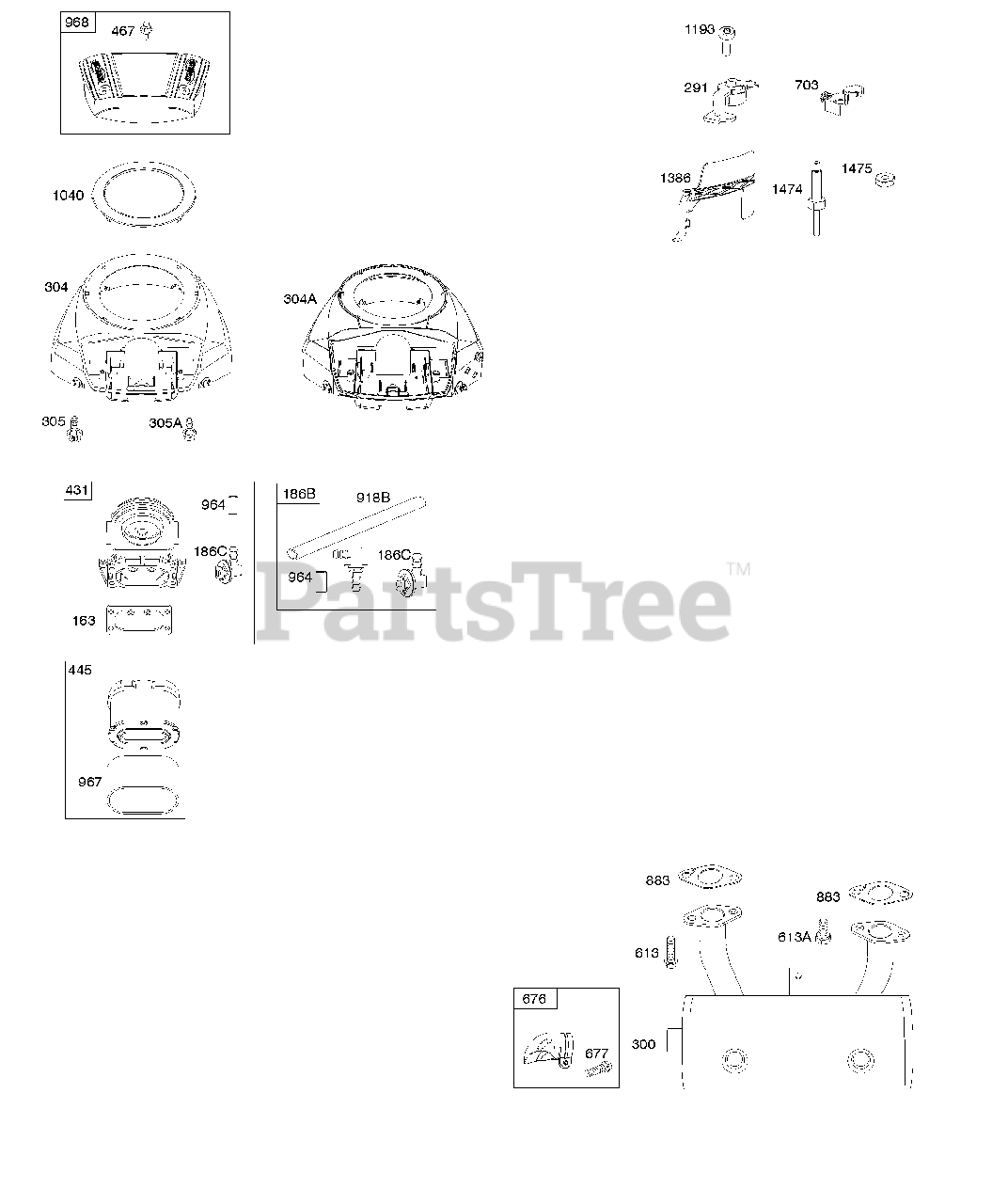 Briggs & Stratton 44P7770117E1 Briggs & Stratton Vertical Engine
