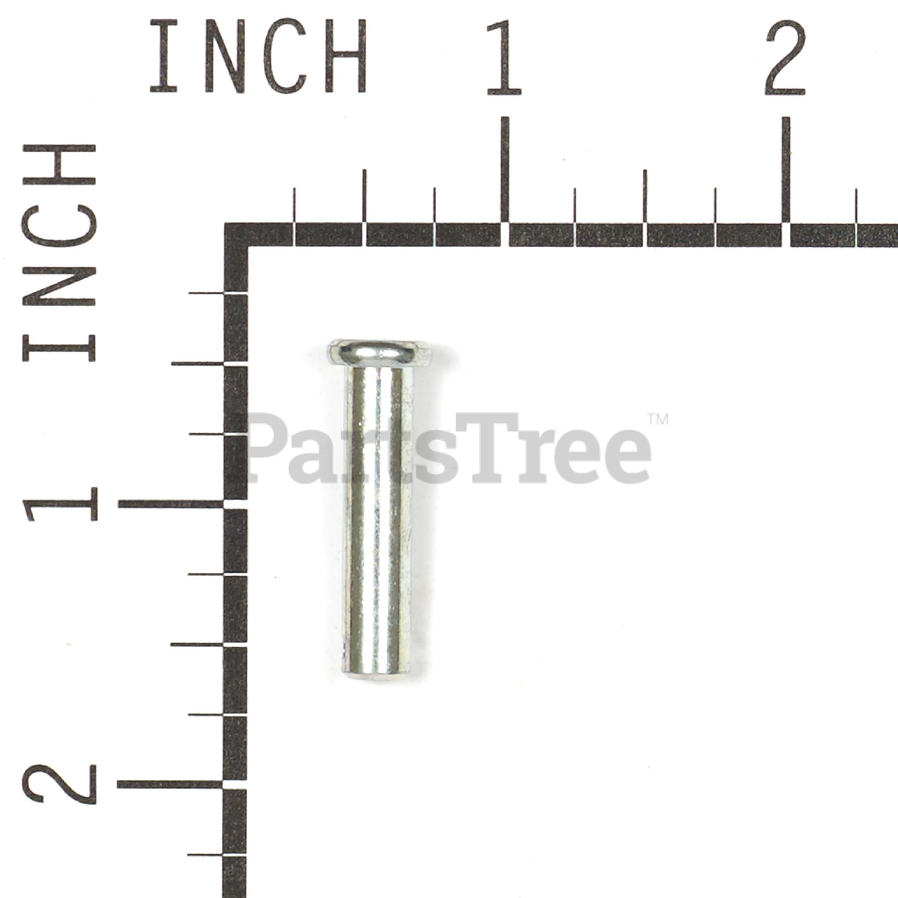 BRP 578309MA - Product Images (Slide 2 of 3)