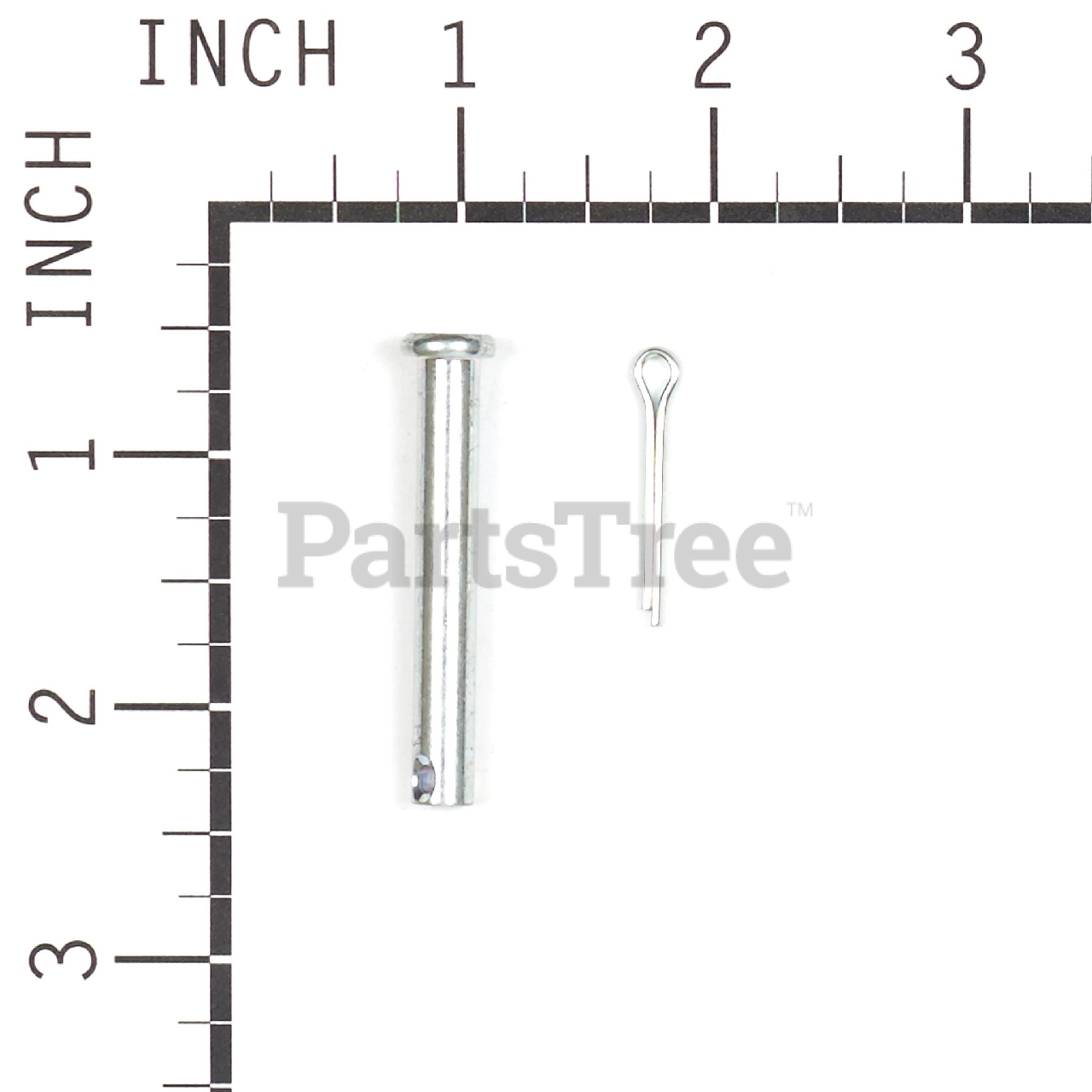 BRP 1686806YP - Product Images (Slide 3 of 3)