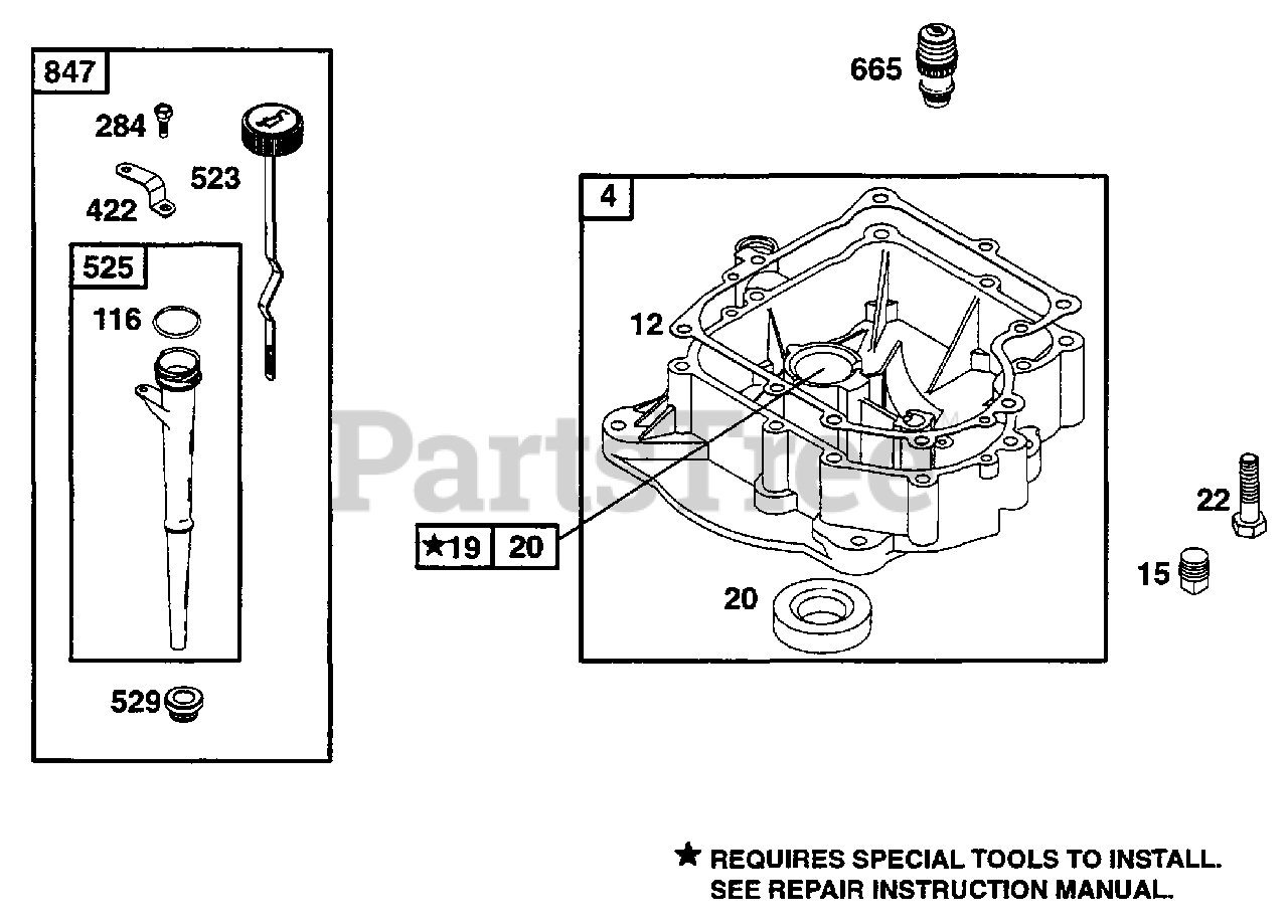 Briggs & Stratton 252707066902 Briggs & Stratton Vertical Engine