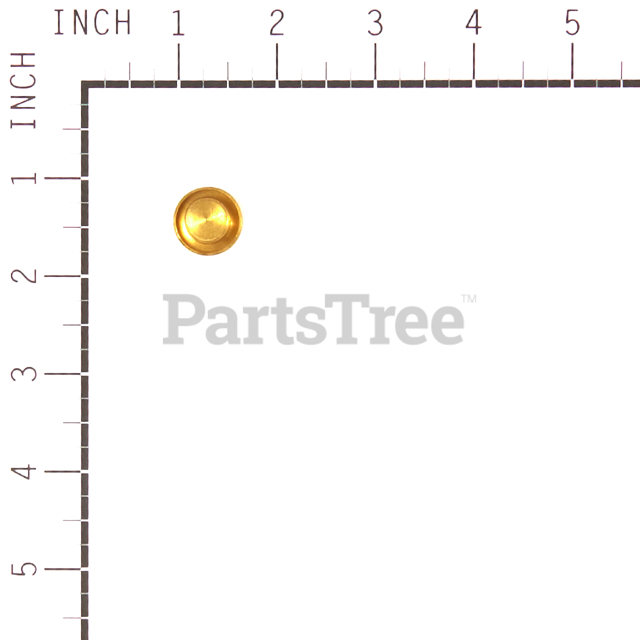 BRP 555659 - Product Images (Slide 3 of 6)