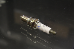 099981174001 - Spark Plug