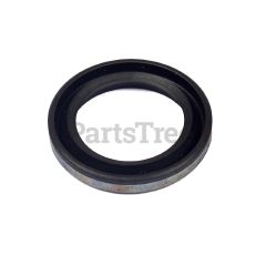 299819S - Oil Seal