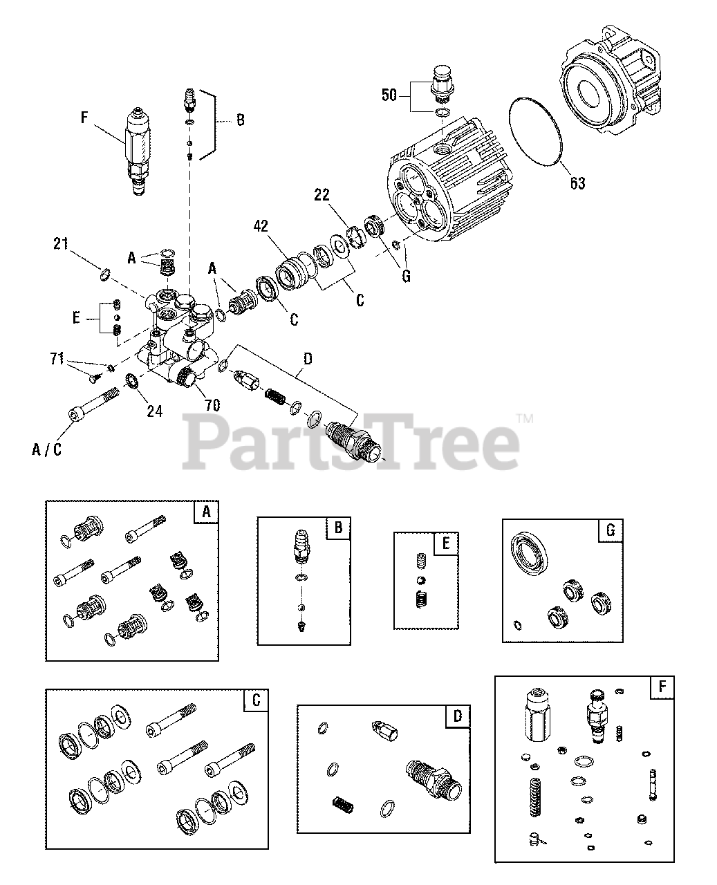 TroyBilt 0202090 TroyBilt 3,000 PSI Pressure Washer Pump Parts