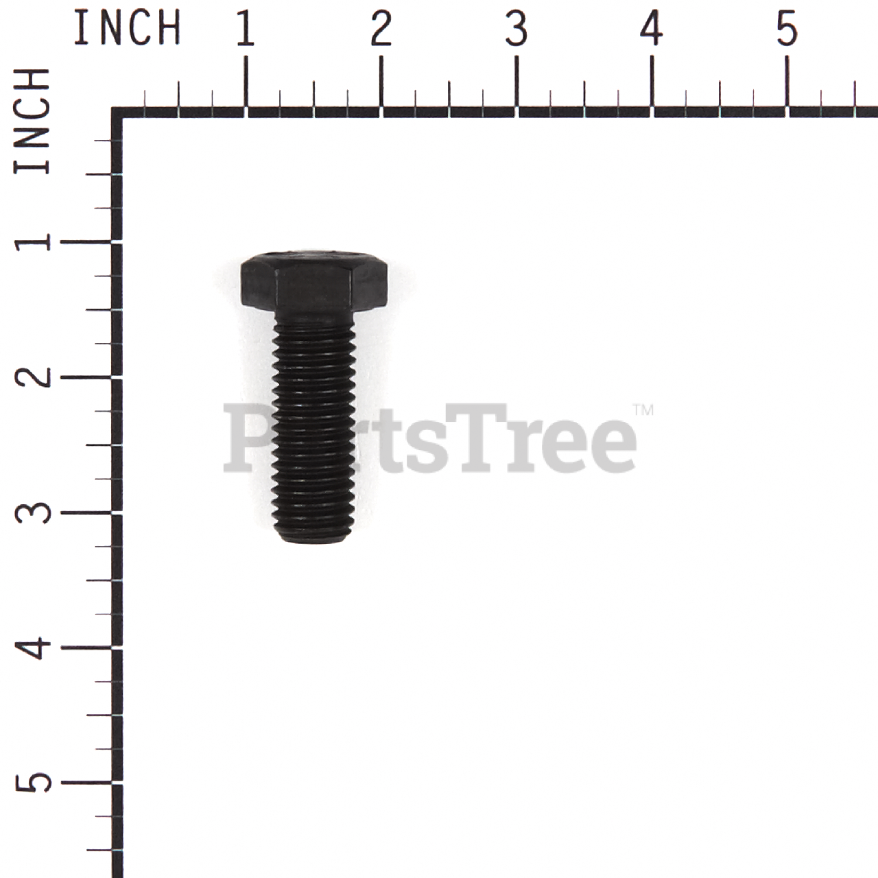 BRP 770136 - Product Images (Slide 2 of 7)