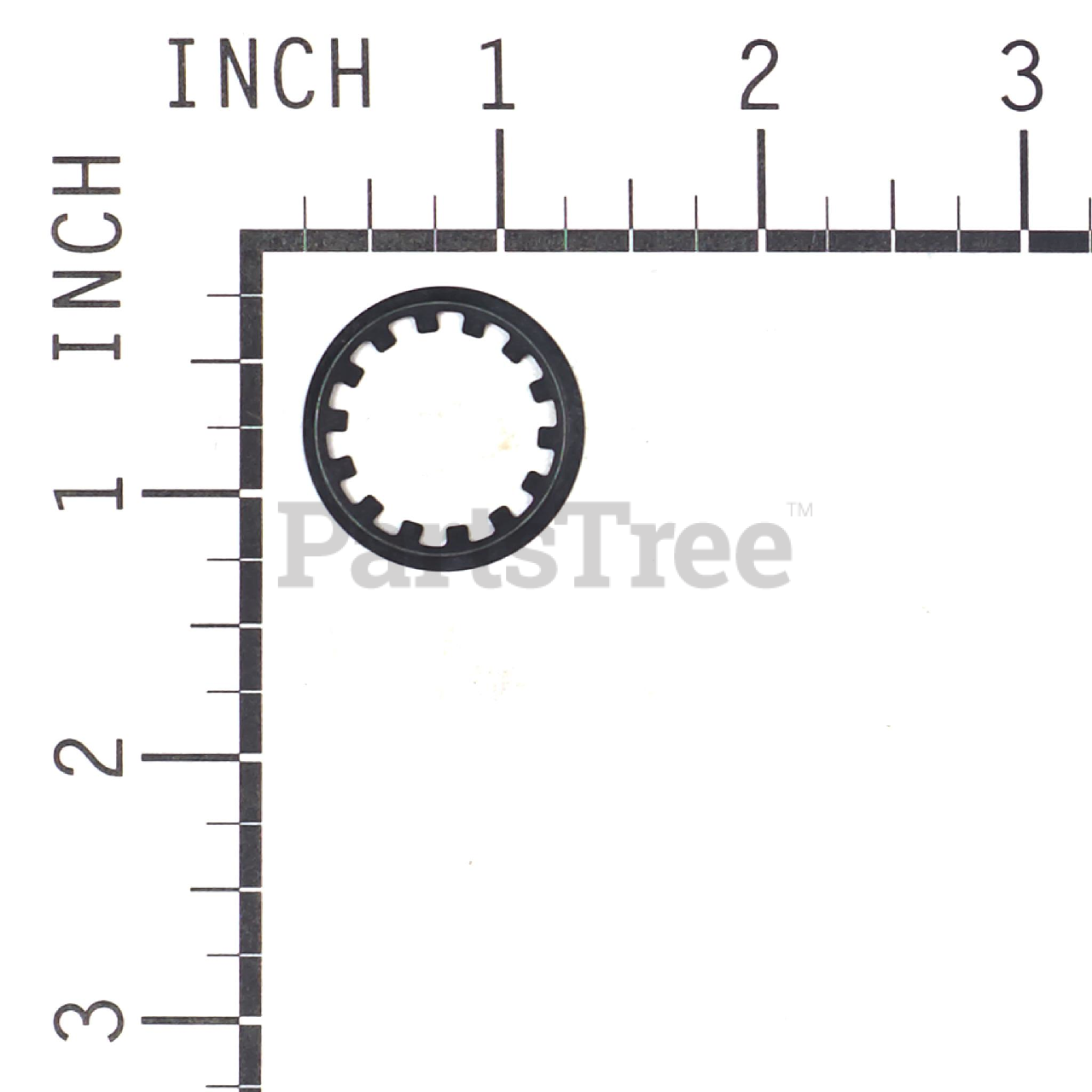 BRP 1657528SM - Product Images (Slide 2 of 3)