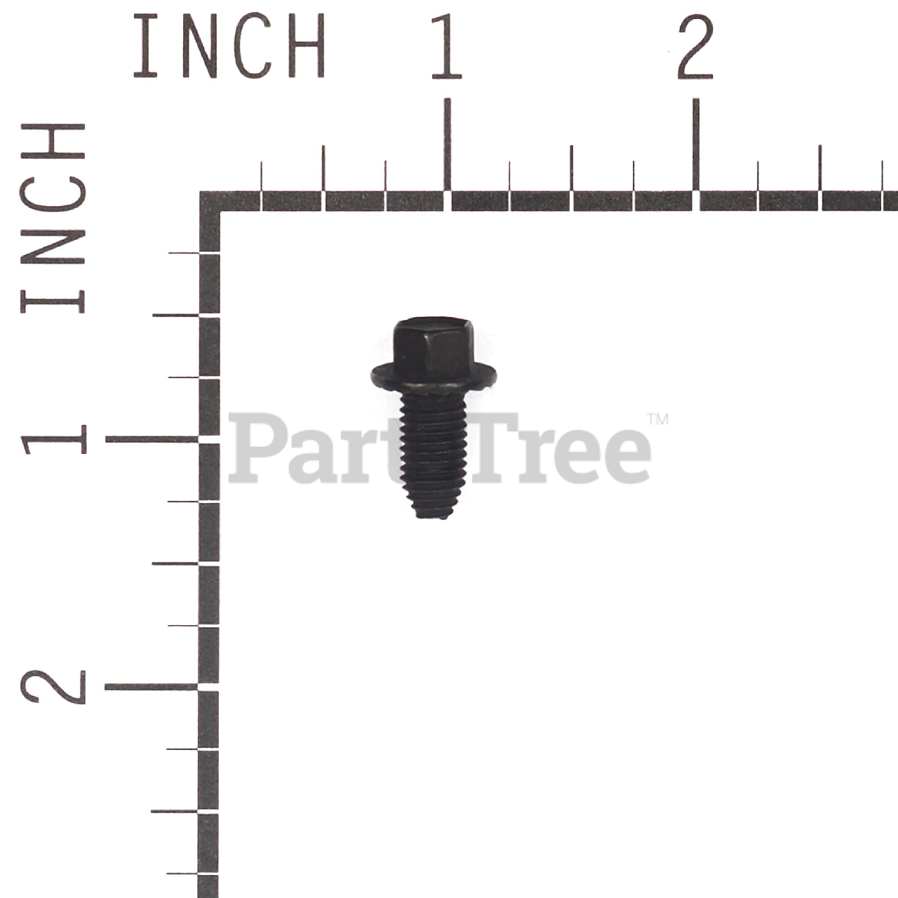 BRP 7900032YP - Product Images (Slide 3 of 3)