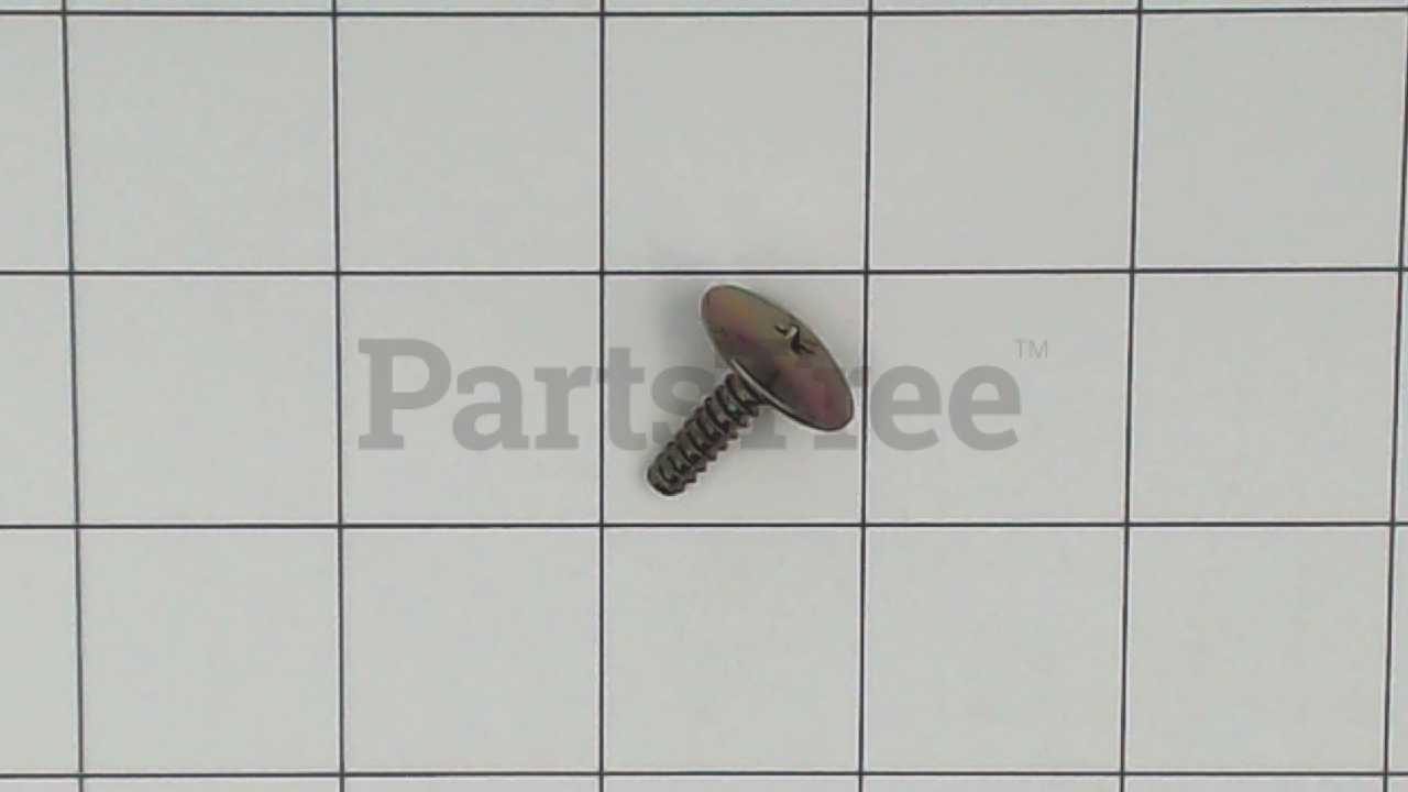 ECH V253000280 - SCREW (Slide 1 of 1)