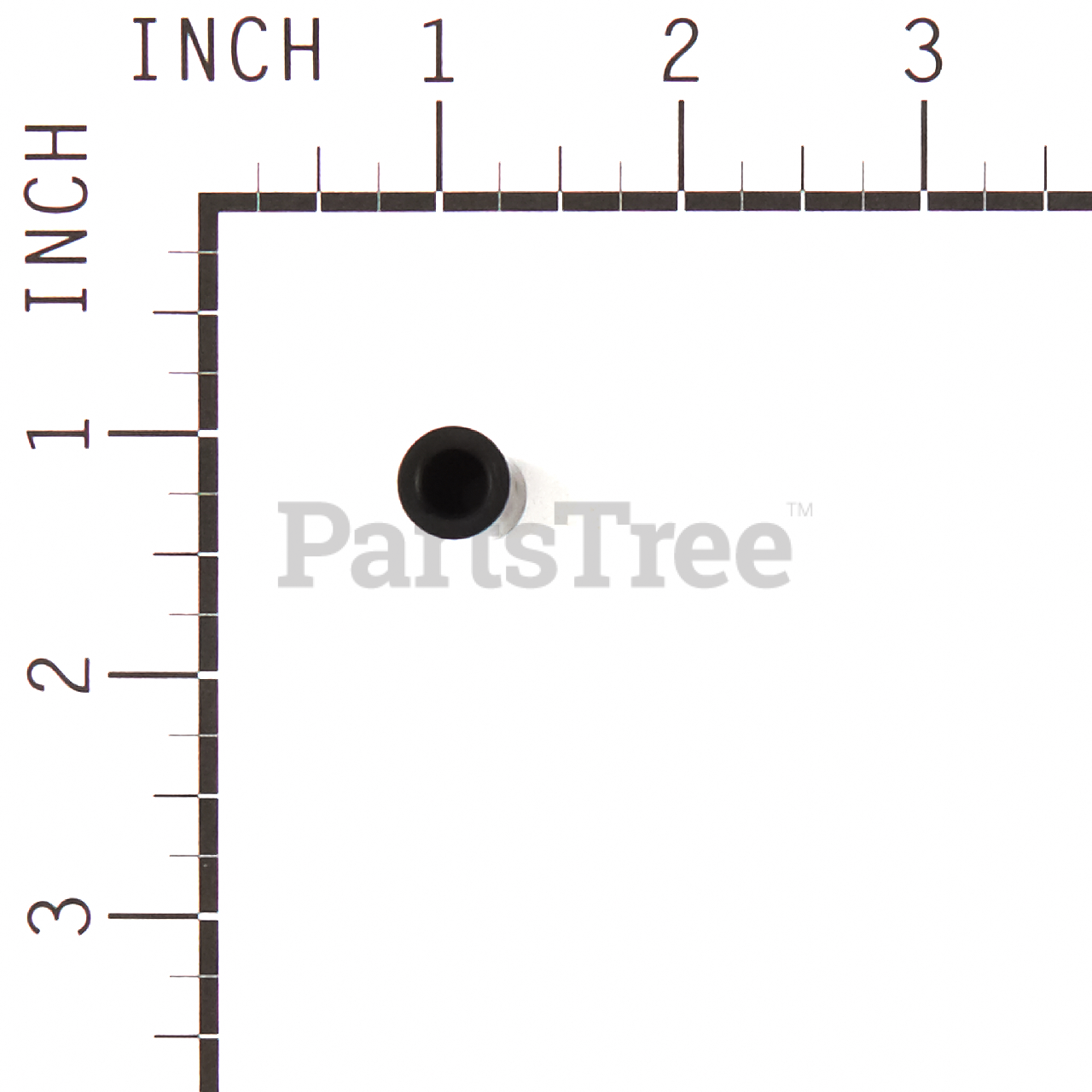 BRP 555605 - Product Images (Slide 10 of 10)