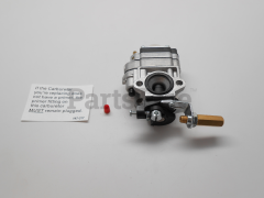 531002420 - CARBURETOR WYK-11B