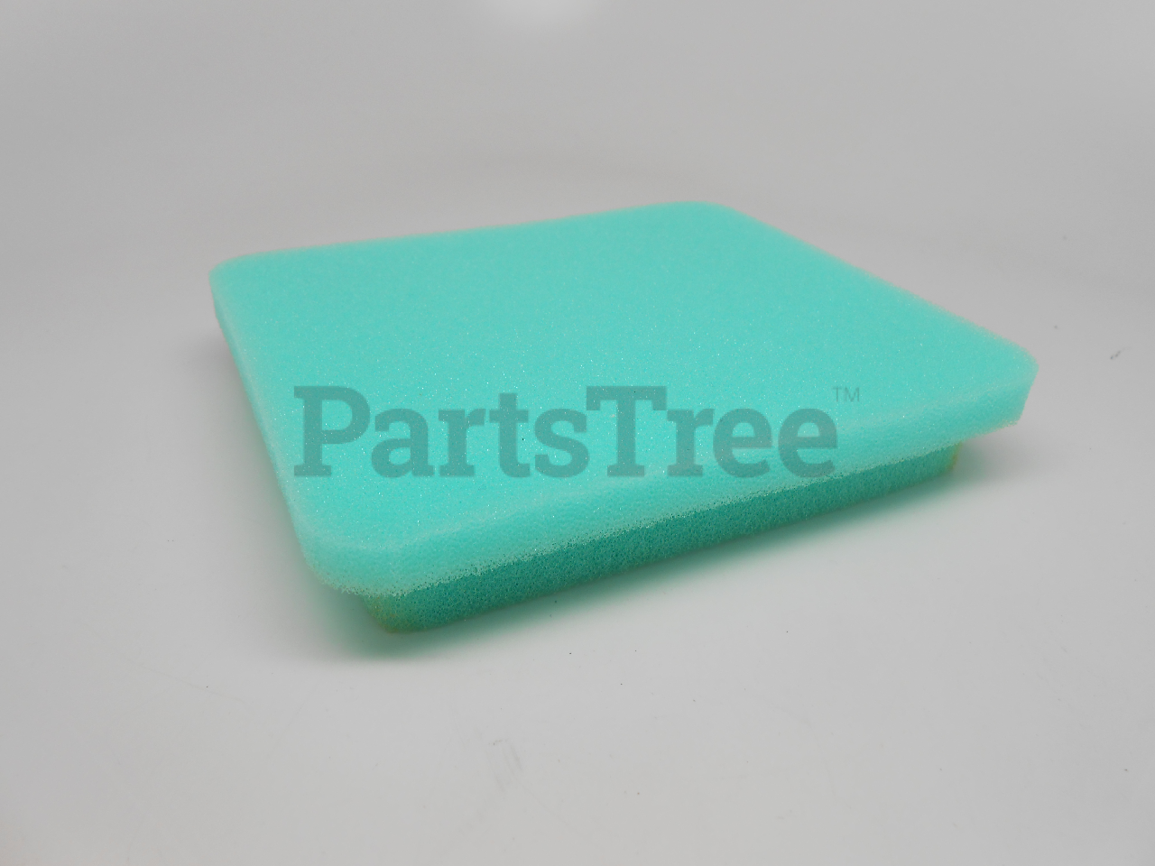 TLB 77-7950 - PRIMARY (Slide 1 of 5)